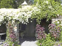 Enlarge image of Craig Socia's Garden Design