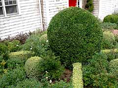 Enlarge image of Craig Socia's Garden Design