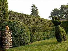 Enlarge image of Craig Socia's Garden Design