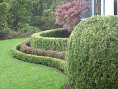 Enlarge image of Craig Socia's Garden Design