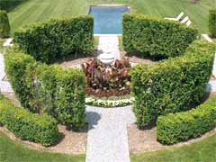 Enlarge image of Craig Socia's Garden Design
