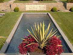 Enlarge image of Craig Socia's Garden Design