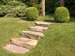 Enlarge image of Craig Socia's Garden Design