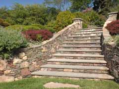 Enlarge image of Craig Socia's Garden Design