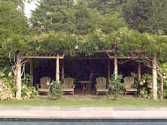 Enlarge image of Craig Socia's Garden Design