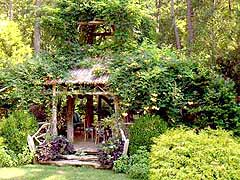 Enlarge image of Craig Socia's Garden Design