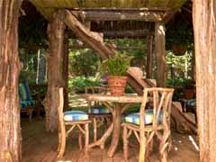 Enlarge image of Craig Socia's Garden Design