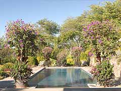 Enlarge image of Craig Socia's Garden Design