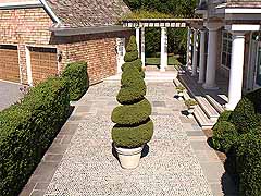 Enlarge image of Craig Socia's Garden Design