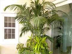 Enlarge image of Craig Socia's Garden Design